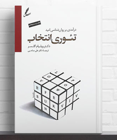 تئوری انتخاب