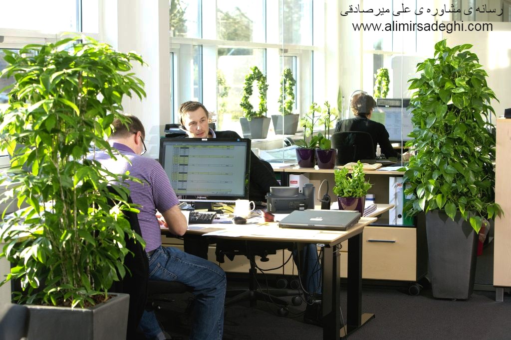 سرِ کارت هم خوشحال باش سرِ کارت هم خوشحال باش