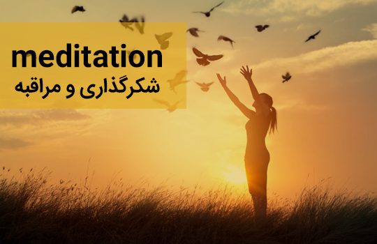 ویدیو های شکرگزاری و مراقبه
