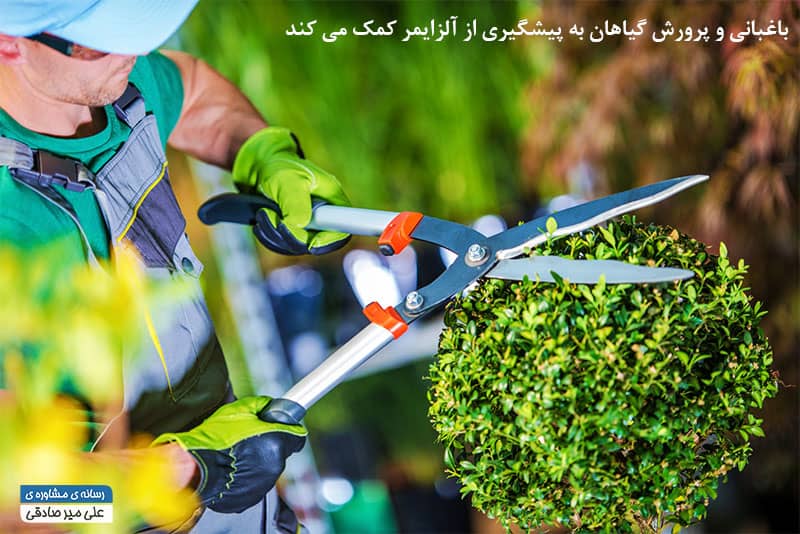 باغبانی یکی از راه های پیشگیری از آلزایمر