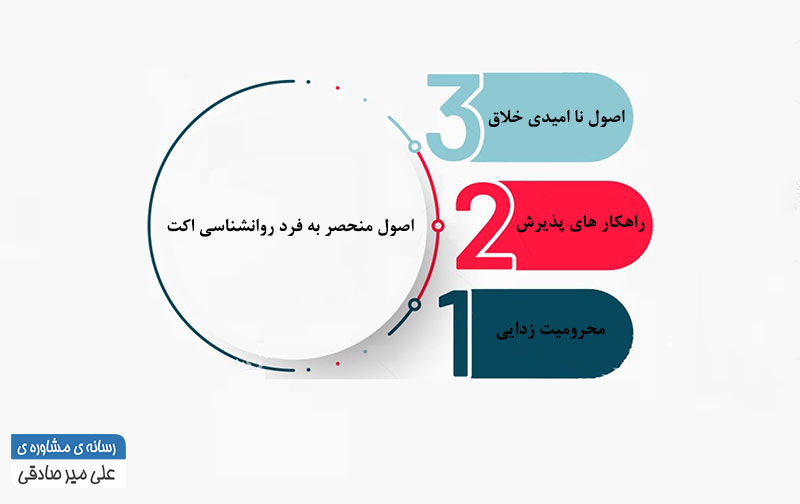 اصول منحصر به فرد روانشناسی اکت چیست