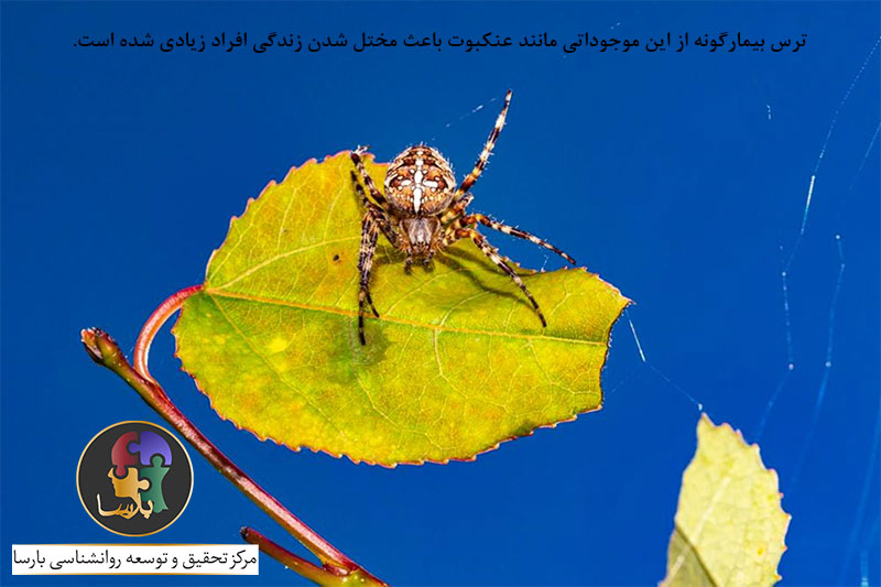 انواع فوبیا