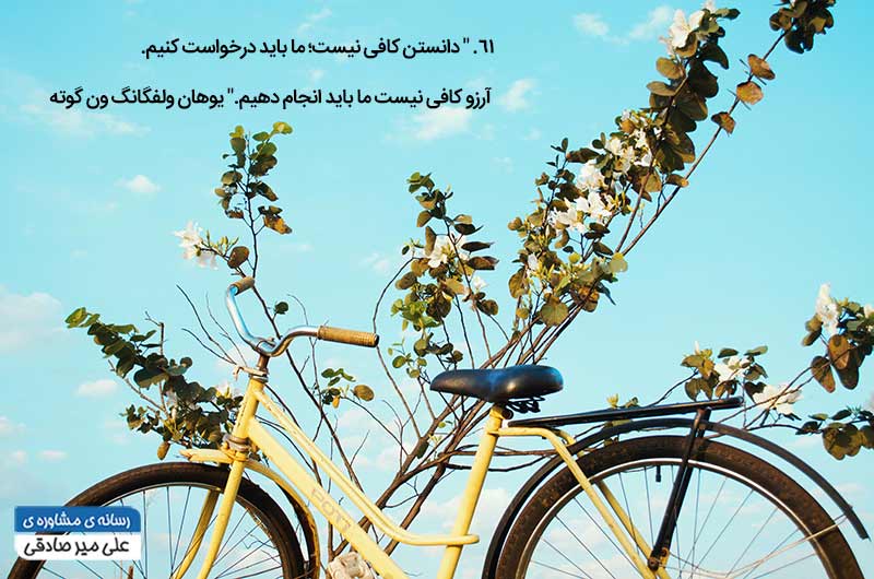 کسب و کار