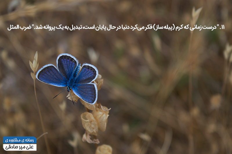 جملات انگیزشی