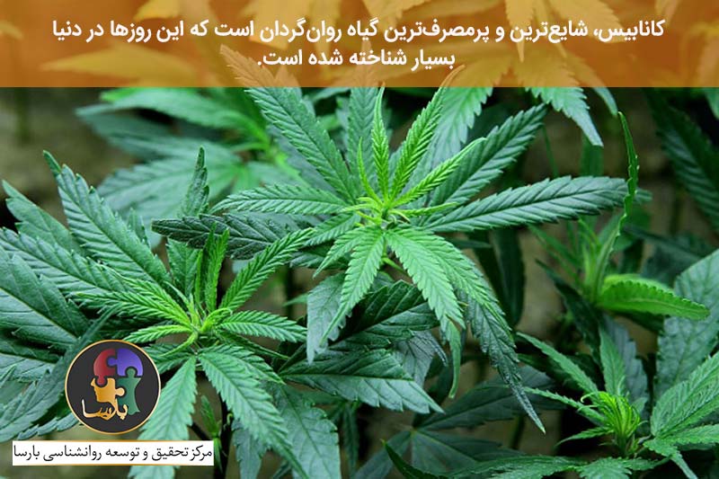 ماده مخدر حشیش