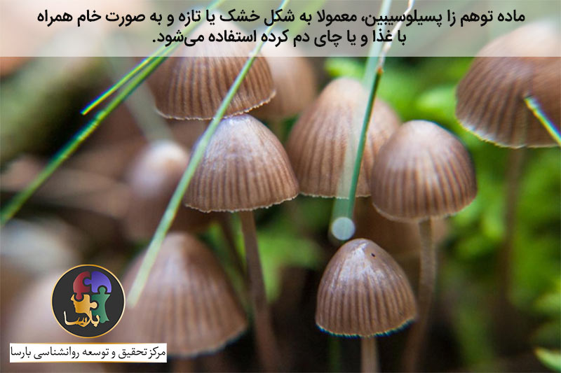 ماده توهم زا پسیلوسیبین ماده توهم زا پسیلوسیبین